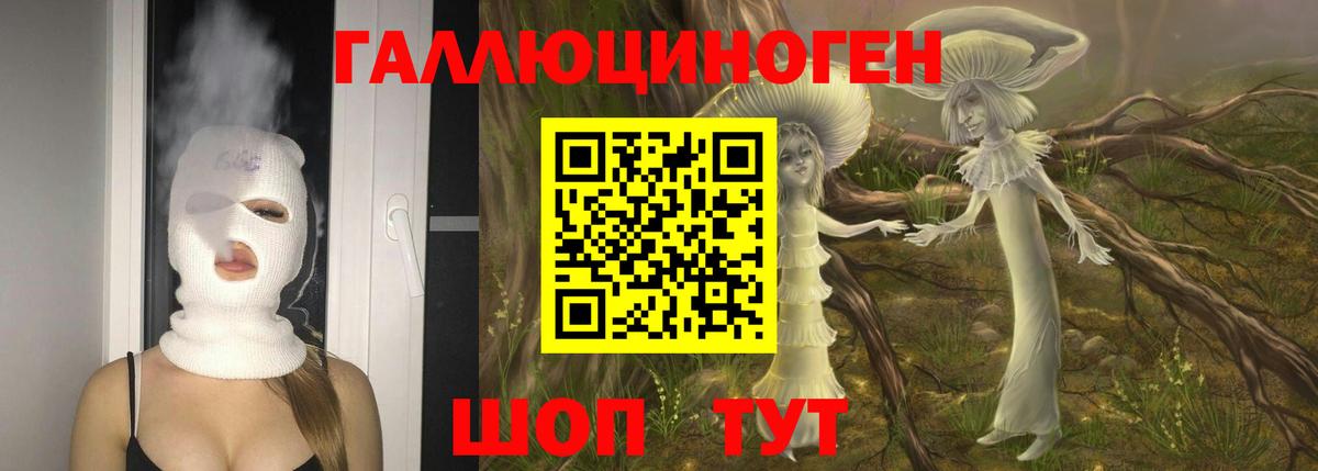 Галлюциногенные грибы мухоморы Жигулёвск